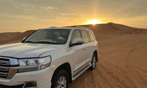 Evening Desert Safari